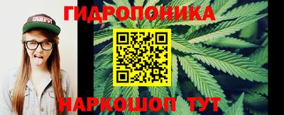 ALPHA PVP Краснознаменск