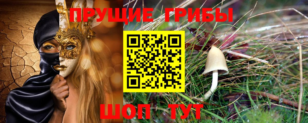 Галлюциногенные грибы MAGIC MUSHROOMS Элиста